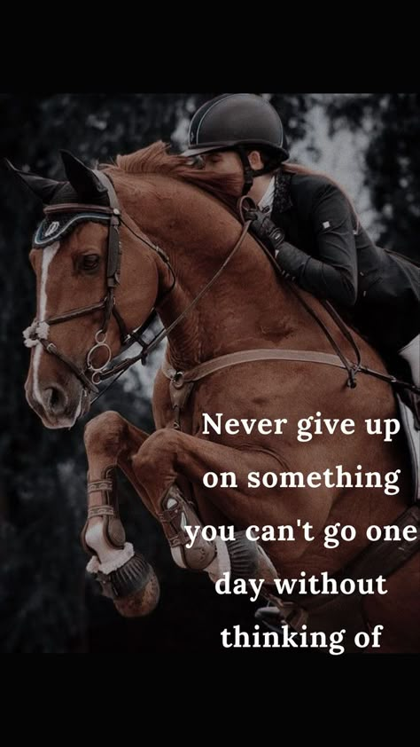 Horse Wallpaper With Quotes, Horse Motivation Quotes, Quote About Horses, Equestrian Life Quotes, Horses Quotes Inspirational, Equestrian Quotes Inspirational, Horse Quotes Meaningful, Horseback Riding Quotes, Cute Horse Quotes