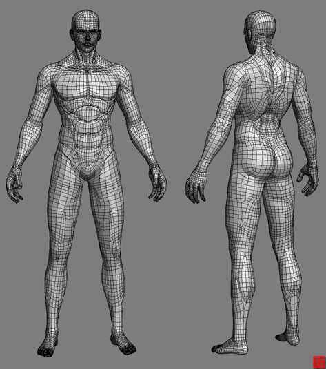 I found to my 3D model data to part of head that it’s to long time before I worked.Actually. That has 3D model base and Eyelids construction is too incomplete ,So Now I ca… Human Body Model, Human Muscle Anatomy, Modelling Tips, Expression Face, 3d Pose, 3d Karakter, Anatomy Models, Human Anatomy Drawing, Anatomy For Artists