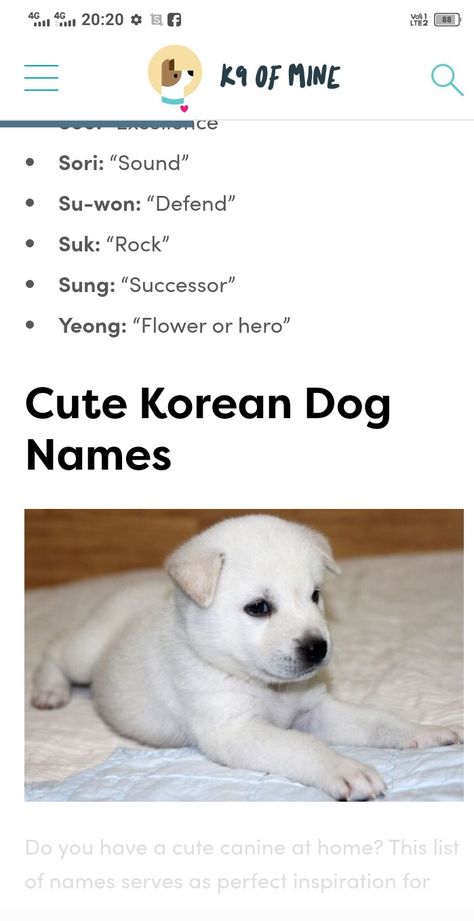 Korean Dog Names, Korean Boy Names, Asian Dogs, Cute Names For Dogs, Sign Language Words, Army Room, Flower Wallpapers, Puppy Names, Korean Dog