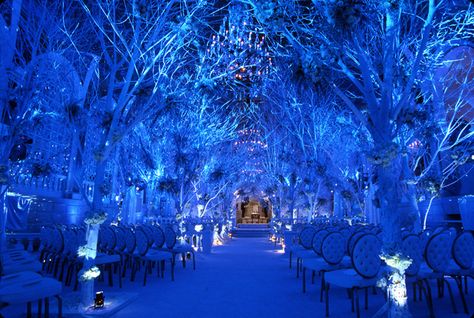 10 Outrageous wedding receptions – SheKnows Preston Bailey Wedding, Midnight Blue Wedding, Wedding Aisles, Preston Bailey, Blue Lights, Wedding Themes Winter, Winter Wedding Decorations, Bridal Guide, Blue Themed Wedding