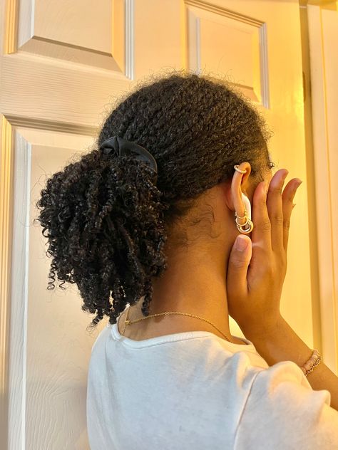 Mini Twists Ponytail, Easy Gel Nails Ideas At Home, Small Twist On Natural Hair Short 4c, Mini Afro Twist, Mini Twists Aesthetic, Small Mini Twist, Hairstyles With Twists Natural, Type 4 Hairstyles Short, Mini Twist Hairstyles Natural Hair