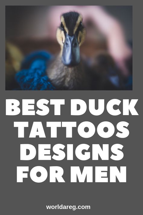 41 BEST DUCK TATTOOS  DESIGNS FOR MEN Muscovy Duck Tattoo, Duck Feather Tattoo, Duck Tattoos For Men, Hunting Tattoos For Guys, Duck Hunting Tattoos, Duck Tattoos, Hunting Tattoos, Muscovy Duck, Travel Tattoos