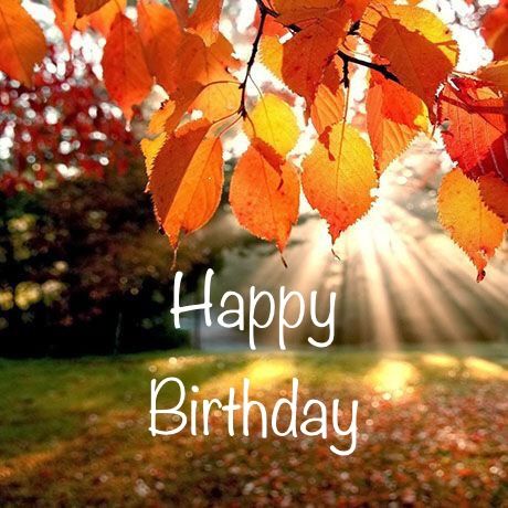 Happy Birthday Autumn Images, Happy Birthday Fall Images, Fall Birthday Wishes, Birthday Celebration Quotes, Happy Birthday Hd, Happy Birthday Cat, Happy Birthday Man, Hbd Quotes, Birthday Wishes Flowers