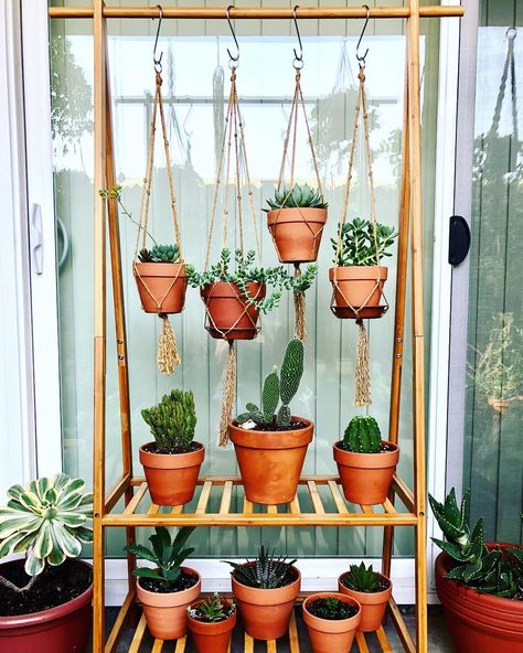 Plant Atrium, Plant Hanger Ideas, Bamboo Ladders, Plant Rack, Diy Hanging Planter, Diy Macrame Plant Hanger, Hanger Ideas, Diy Plant Hanger, Macrame Plant Holder