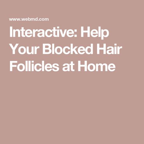 Interactive: Help Your Blocked Hair Follicles at Home Moisture Wicking Clothes, Unhealthy Hair, Clear Things, Antibacterial Soap, How To Get Thick, Hair Follicles, Fiber Foods, Mayo Clinic, Oil Plant