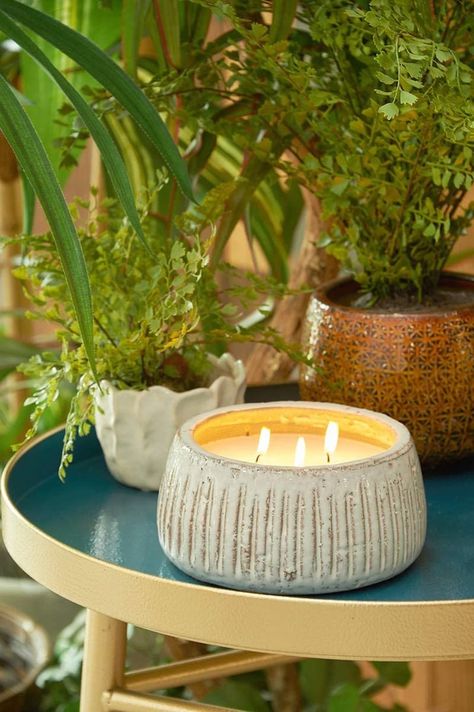 Best Citronella Candles | 2020 Outdoor Candles Ideas Patio, Mosquito Repellent Candle, Citronella Candle, Mosquito Bites, Outdoor Patio Table, Patio Party, Citronella Candles, Outdoor Candles, Small Candles