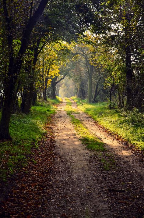 Rural road (Poland) by anna.night cr. Beautiful Roads, Country Roads Take Me Home, Forest Path, Dirt Road, Back Road, Green Grass, Amazing Nature, Nature Pictures, Beautiful Landscapes