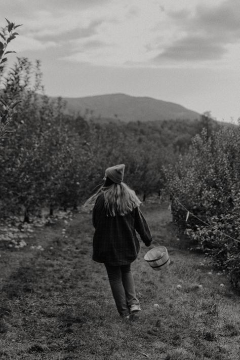 apples apple orchard vineyard fall fall aesthetic Apple Picking Photo Ideas, Orchard Photoshoot, Apple Orchard Photoshoot, Apple Cidar, Apple Picking Photos, Fall Shoot, Apple Farm, Apple Orchard, Apple Picking