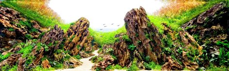 Aquascaping Rocks, Fish Tank Terrarium, Aquascape Design, Dragon Stone, Aquarium Design, Aquascaping, Fish Tank, Cactus Plants, Stone