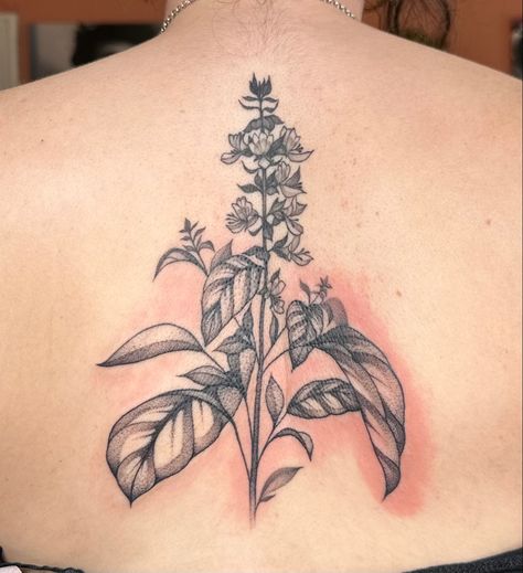 Thai Basil Tattoo, Basil Tattoo, Back Spine Tattoo, Herb Tattoo, Basil Herb, Basil Leaf, Basil Plant, Thai Basil, Spine Tattoo