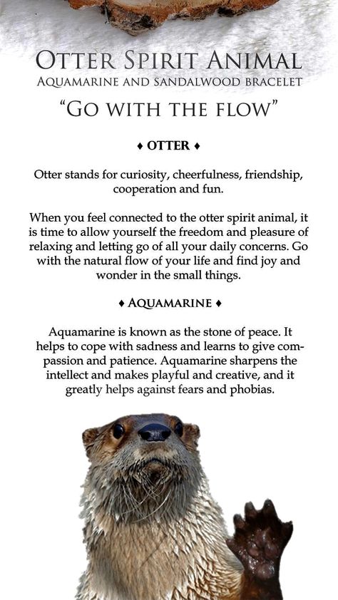 Otter Symbolism, Acorn Meaning, Otter Totem, Otter Spirit Animal, Tapestry Sweater, Animal Totem Spirit Guides, Spirit Animal Meaning, Totem Animals, Animal Meanings