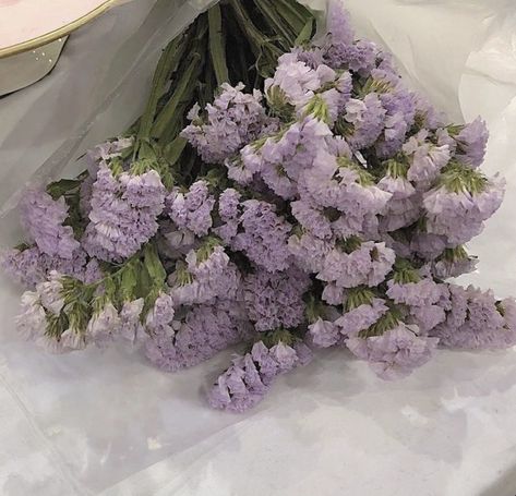 Purple Flowers, Lilac, Purple, Flowers, White