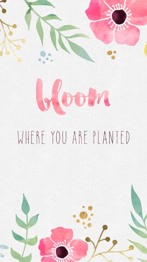 Handlettering Frühling Wallpaper, Wallpaper Samsung, Plants Quotes, Spring Background, Free Desktop Wallpaper, Bloom Where You Are Planted, Plant Wallpaper, Spring Wallpaper, Wallpaper Free