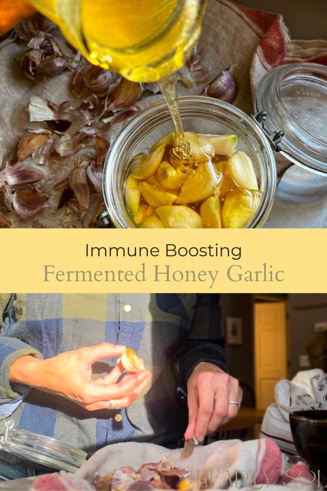 Fermented garlic in honey is a delicious and easy immune booster that can be made easily at home. The fermentation process not only creates a unique flavor to the garlic but also preserves it. #fermentedhoneygarlic #immunebooster #honeygarlic #fermentedgarlic #garlichoney Honey Garlic Ferment, Honey Garlic Immune Booster, Garlic In Honey, Fermented Honey Garlic, Fermented Garlic, Garlic Breath, Fermented Honey, Immune Booster, Immunity Booster