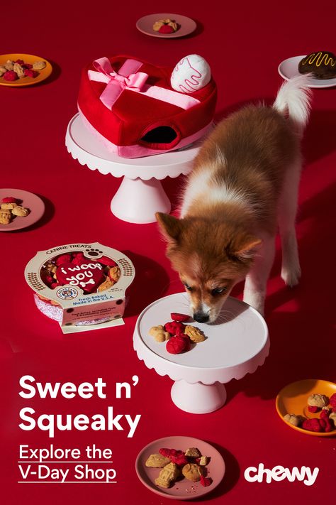 Pet Valentines, Pet Food Packaging, Dog Pearls, Valentines Day Cat, Valentine Candy Hearts, Catnip Cat Toy, Toy Packaging, Sweet Gift Ideas, Bear Valentines