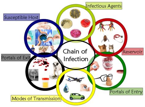 Chain of #Infection graphic Chain Of Infection Poster, Chain Of Infection, Workplace Safety Slogans, Cleanliness Is Next To Godliness, Nurse Education, Sterile Processing, Nurse Skills, Medical Assisting, Safety Slogans