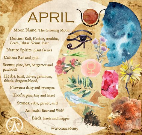 April Magical Correspondences, April Name Meaning, April Correspondences, Crystals For April, Spring Witchcraft, April Aesthetic Month, April Meaning, April Magick, What Is Paganism