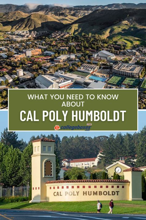 Cal Poly Humboldt, Humboldt University, Arcata California, Humboldt State University, Ucla Campus, Student Storage, Polytechnic University, California State University, Cal Poly