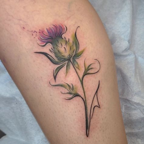 Stunning thistle tattoo on the leg done by @kristylynneart!! Can't help but love those subtle yet lovely colours! 💜⁠ ⁠ "Lil thistle ☺️ I love how this turned out" - Kristy⁠ Geometric Thistle Tattoo, Art Nouveau Thistle Tattoo, Celtic Thistle Tattoo, Scottish Thistle Tattoo Delicate, Thistle Tattoos For Women, Scottish Thistle Tattoo, Thistle Tattoo, Flower Tat, Realism Tattoos