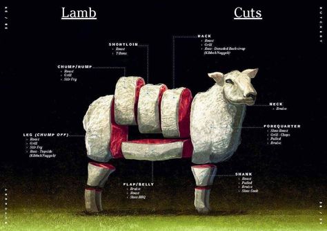 Culinary Basics, Butcher Diagram, Ranch Animals, Lamb Cuts, Meat Store, Lamb Steaks, Pumpkin Whoopie Pies, Grilled Roast, Meat Shop