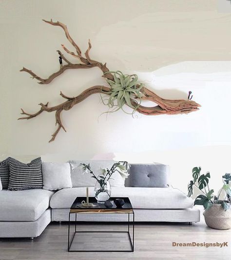 Air Plants Decor, Tree Branch Decor, Large Wood Wall Art, نباتات منزلية, Driftwood Wall Art, Driftwood Decor, Plant Decor Indoor, Branch Decor, House Plants Decor