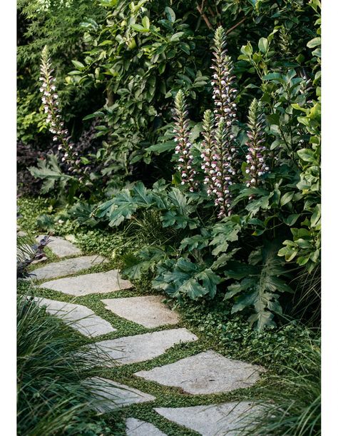 A Beautiful New Life For A Generous Family Garden Shade Path Garden, Flagstone Yard, Flagstone Courtyard, Shade Garden Design Layout, Aesthetic Garden Ideas, Crazy Pavers, Garden Ideas Diy, Diy Garden Ideas, Stone Pavement