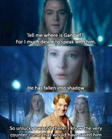 Lotr Funny, Funniest Memes, Gandalf, Me Too Meme, Harry Potter Funny, Harry Potter Memes, The Marauders, Middle Earth, The Rings