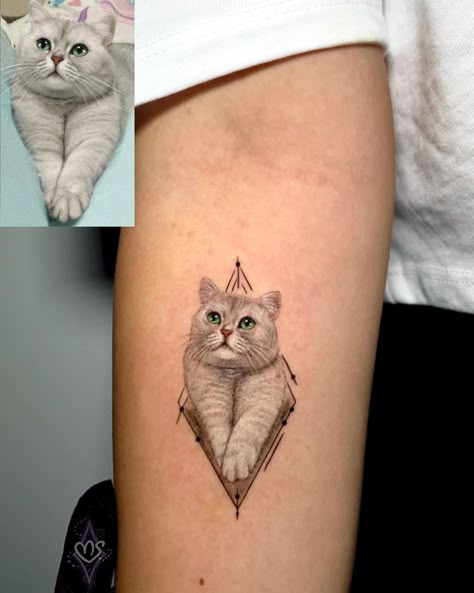 Pet Cat Tattoo, Cat Memory Tattoo, Dog And Cat Tattoo, Cat Memorial Tattoo, Cat Portrait Tattoo, Memories Tattoo, Minimalist Cat Tattoo, Tattoo Gato, Cat Portrait Tattoos