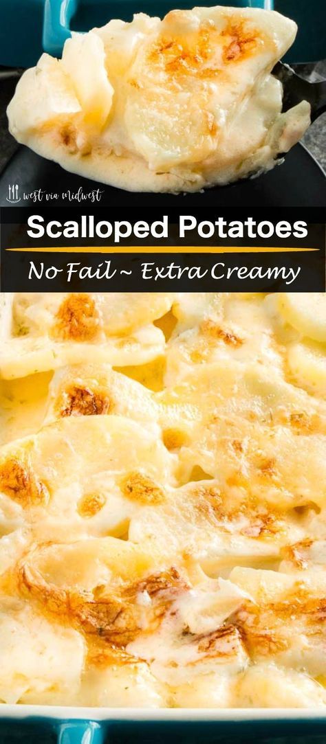 Thickening Potatoes, Make Ahead Scalloped Potatoes Holidays, Scalloped Potatoes Without Flour, Sauce For Scalloped Potatoes, Scalloped Potatoes With Heavy Cream, Canned Potato Recipes, Scalloped Potatoes With Cream, Old Fashioned Scalloped Potatoes, Scalloped Potatoes Crockpot