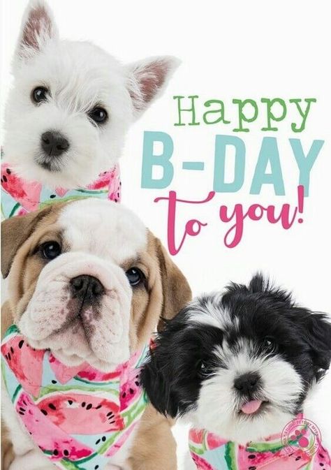 Happy Birthday Wishes With Dogs Pictures, Happy Birthday Puppy Images, Birthday Wishes For Dog, Happy B Day Wishes, Happy Birthday Puppy, Friends Happy Birthday, Happy Birthday Niece, Images Happy Birthday, Birthday Puppy