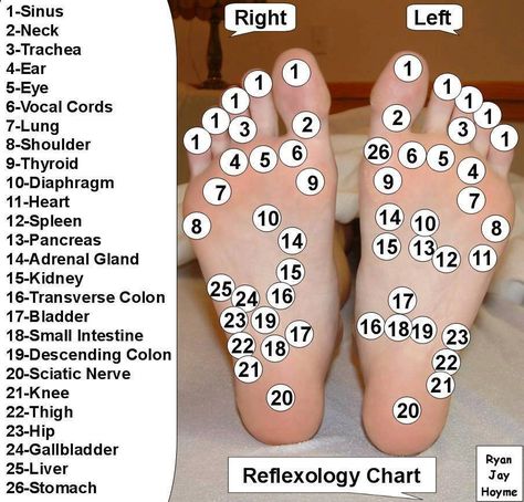 Autogenic Training, Reflexology Chart, Reflexology Massage, Foot Reflexology, Reflexology, Health Info, Health And Beauty Tips, Acupressure, Massage Therapy