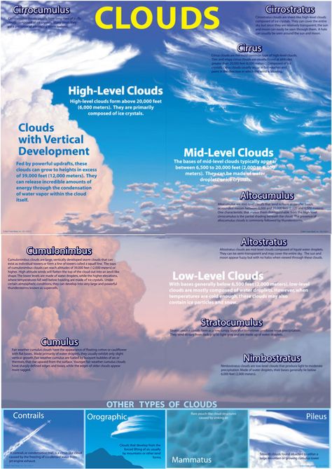 Types of Clouds Clouds Types, Types Of Clouds, Science Bulletin Boards, Cloud Type, Weather Science, Clouds In The Sky, Cloud Formations, Earth And Space Science, Bulletin Board Sets