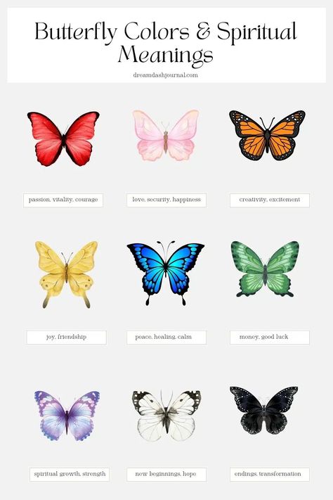 Butterfly Spiritual Meaning Butterflies And Their Meanings, Butterfly New Beginnings Tattoo, Types Of Butterflies Meaning, Symbolism Of Butterflies, Butterfly Colors Meaning, Pink Butterfly Meaning, Meanings Of Butterflies, Butterflies Meaning Spiritual, Different Butterfly Meanings