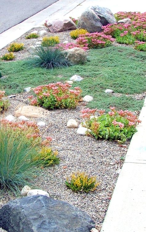 Xeriscape Front Yard, Small Front Yard Landscaping, Drought Tolerant Landscape, Small Front Yard, Front Yard Design, Low Maintenance Landscaping, Rock Garden Landscaping, Low Maintenance Garden, Inspire Me Home Decor