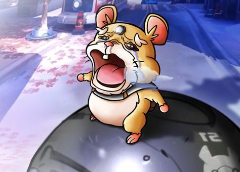 Overwatch Wrecking Ball Icon, Overwatch Fanart Pfp, Chopper Crying, Hammond Overwatch, Wrecking Ball Overwatch, Overwatch Meme, Overwatch Icons, Ruby Anime, Overwatch Memes