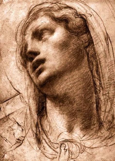 Renesance Drawing, Old Master Drawings, Annibale Carracci, Master Drawings, Rennaissance Art, Master Drawing, Academic Art, Portrait Sketches, Caravaggio