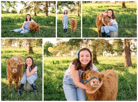 2024 Spring Highland Cow mini sessions | Dawn Lopez Photography |Fort Worth, Texas | Dawn Lopez Photography Highland Cow Mini Session, Cow Mini Session, Highland Cow Mini, Mini Highland Cow, Mini Cows, 1st Birthday Cake Smash, Newborn Studio, Happy Lunar New Year, Highland Cows