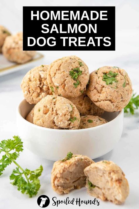 Salmon Treats For Dogs, Homemade Salmon Dog Food Recipes, Long Lasting Dog Treats Homemade, Easy Healthy Salmon, Salmon Dog Treats, Pup Treats, Pet Bakery, Dog Treats Recipe, Animal Treats