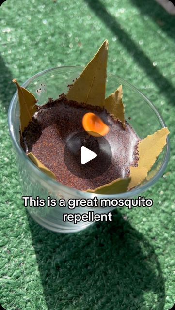 Kristina on Instagram: "Why didn’t I know this before? #lifehacks #hacks #repellent #mom #momlife #Home #homemade #MomsofTikTok #momtok #instagram #instalike #instagood" Mosquito Hacks, Diy Mosquito Repellent Candle, Mosquitoes Repellent, Bee Repellent, Homemade Candle Recipes, Garden Diy Hacks, Wicca Candles, Mosquito Repellent Candle, Mosquito Repellent Homemade