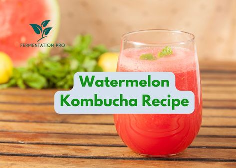 In this refreshing watermelon Kombucha recipe, you will learn to make Kombucha that is pleasantly tart, mildly sweet, certainly healthy! Watermelon Kombucha, Kombucha Recipes, Kombucha Drink, Make Kombucha, Kombucha Bottles, Kombucha Benefits, Kombucha Recipe, Probiotic Drinks, Fermented Drink