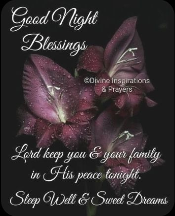 Wednesday Night Blessings, Saturday Night Blessings, Good Night Blessings Quotes, Good Night Qoutes, Good Night Quotes Images, Good Wednesday, Evening Quotes, Night Blessings, Fb Cover Photos