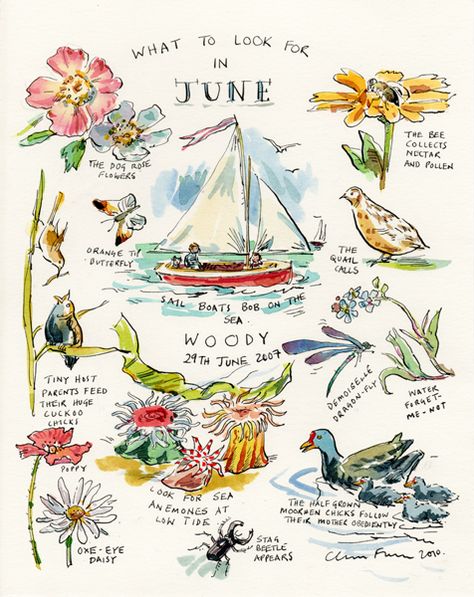 Claire Fletcher i love all her books! I toured Charleston once using only her book as a guide :) @Nicole Siciliano Murray 동화 삽화, Watercolor Journal, Garden Journal, Arte Sketchbook, Art Et Illustration, Nature Study, Sketchbook Inspiration, Nature Journal, Urban Sketching