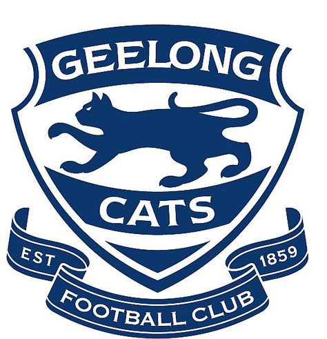 Geelong Cats AFL Geelong Cats Football, Geelong Football Club, Cats Draw, Australian Football League, Geelong Cats, West Coast Eagles, Australian Football, Cat Info, Cheer Squad