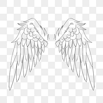 Angles Wings Drawing, Angel Wings Transparent Background, Angle Drawing Reference Wings, Wings Angel Drawing, Angel Wings Drawing Easy, Angel Wings Drawing Reference, Angel Wings Drawing Simple, Angel Wings Sketch, Angel Wing Drawing