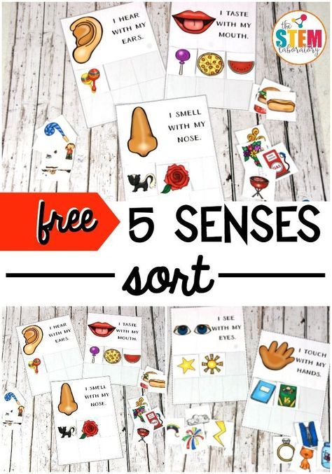 Five Senses Activity, Senses Activity, 5 Senses Preschool, Five Senses Preschool, 5 Senses Activities, Senses Preschool, My Five Senses, Senses Activities, Sorting Mats