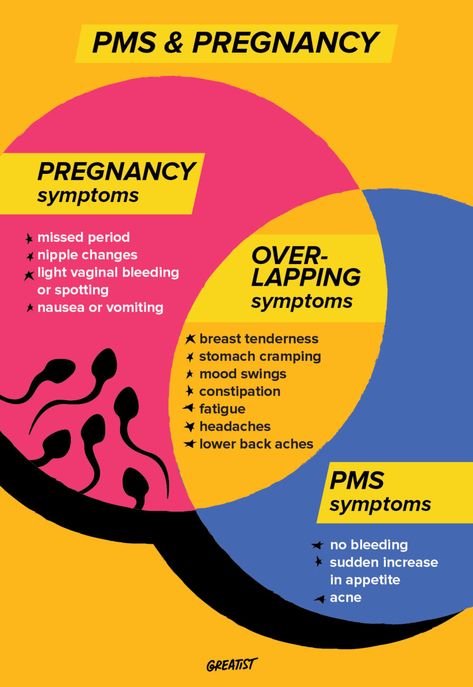 PMS vs. Pregnancy Symptoms: How They're Different Period Vs Pregnancy Symptoms, Signs Your Pregnant, Implantation Cramps, Implantation Symptoms, Cramps During Pregnancy, Ratajkowski Style, Ovulation Cycle, Pregnancy Memes, Dog Pregnancy Announcement