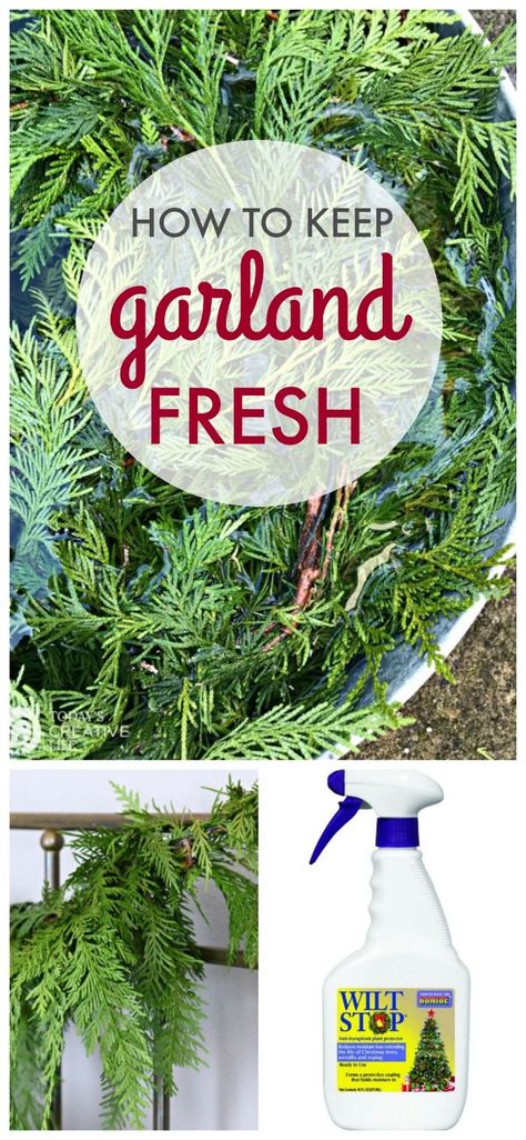 How to Keep Garland Fresh | How to keep real cedar garland from drying out. How to make fresh garland last longer | how to keep fresh garland longer | Find the full tutorial on Today's Creative Life. How To Make Fresh Pine Swags, How To Keep Christmas Greenery Fresh, Real Greenery Garland, Diy Live Garland, Making Garland Greenery, Diy Cedar Garland How To Make, Diy Live Garland Christmas, Christmas Evergreen Garland, How To Make Pine Garland