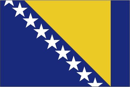 The flag of Bosnia and Herzegovina . Bih Bosnia And Herzegovina Flag, Bosnian Flag, Bosnia Flag, Bosnia And Herzegovina Flag, Herzegovina Flag, Funny Flags, European Flags, Patriotic Symbols, Halloween Wallpaper Backgrounds