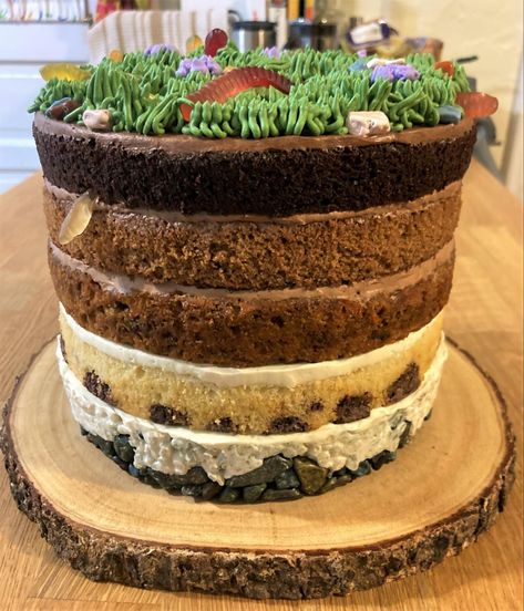 Opossum Cake, Herbal Cake, Guys Birthday Cake, Cave Cake, Earth Day Cake, Geology Cake, Pickle Cake, Layer Carrot Cake, Soil Profile