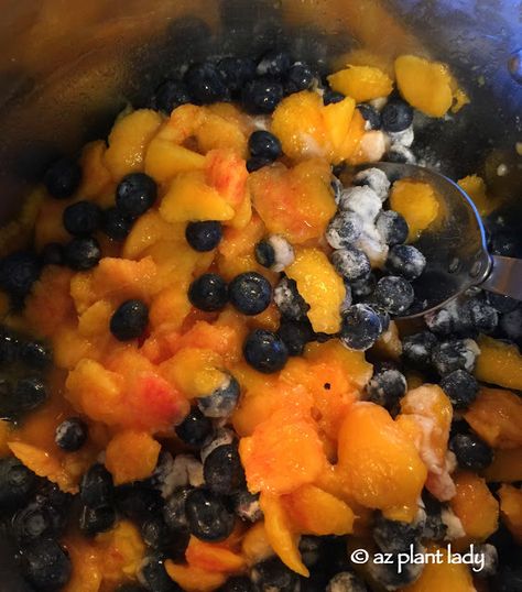 RAMBLINGS FROM A DESERT GARDEN....: Can It Forward: Making Nectarine and Blueberry Jam Canning Nectarines, Blueberry Lemon Jam, Nectarine Jam, Sour Cherry Jam, Lemon Jam, Blackberry Jam Recipes, How To Make Applesauce, Blueberry Jam Recipe, Peach Blueberry